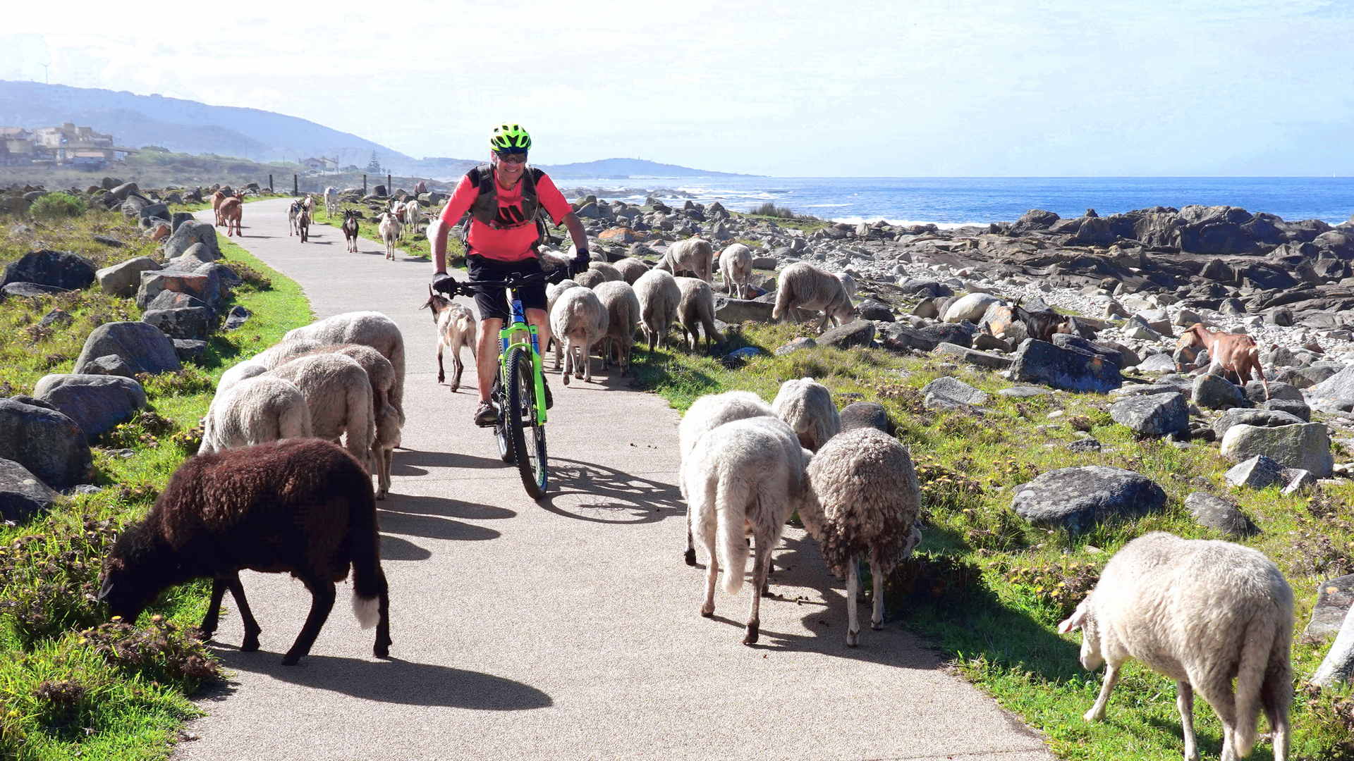 Camino de Santiago pilgrimage route: 'Sister Bicycle' – Motorists